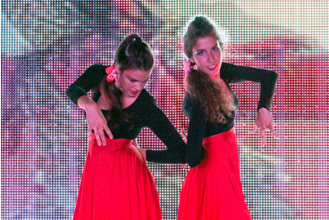 Flamenco 2015
